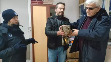 Konya'da yol kenarında yaralı bulunan kartal tedavisini ardından doğaya bırakıldı