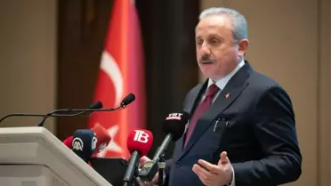 TBMM Başkanı Şentop Kuzey Makedonya'da Türkçe Eğitim Bayramı resepsiyonuna katıldı (2)