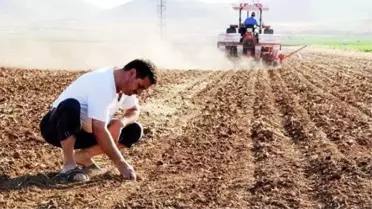 Doların düşmesi sonrası çiftçinin beklediği haber geldi! Gübre fiyatları yüzde 22 düştü