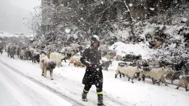 Rize'de kar yağışı nedeniyle 283 köy yolu ulaşıma kapandı