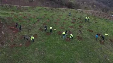 Kocaeli Büyükşehir'den Gölcük Hisareyn'e bal ormanı