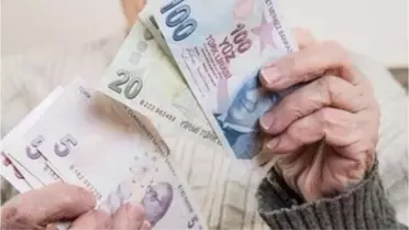 Ne kadar alacaksınız? Emekli, memur, yaşlı, engelli, yakınına bakan! İşte oranlar