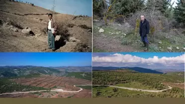 Çorak arazinin ormana dönüşümü emektar memurun 20 yıllık fotoğrafında