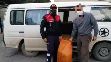 Hırsızlıktan aranan şahıslar zeytin çalarken yakalandı