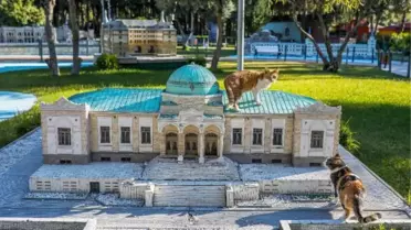 Minyatür Türkiye Parkı'nın tüylü sakinleri