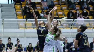 Herbalife Nutrition Kadınlar Basketbol Süper Ligi
