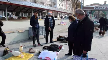 Hindi fiyatları 500 lira olunca vatandaş sorup geçiyor