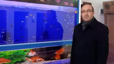 Tropikal iklim balıkları jeotermal kaynak su ile yetiştirilecek