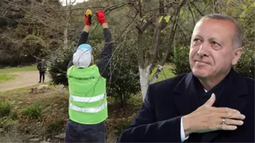 Takdir toplayan Osmanlı geleneği bu ilçede yaşatılıyor