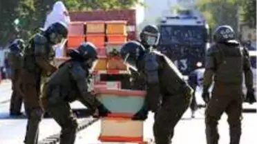 Şili'de arıcılar hükümeti protesto etti, yedi polisi arı soktu