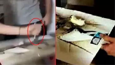 Atatürk'e hakaret! MEB, İstanbul Kabataş Erkek Lisesi'nde Atatürk posterine zarar verilmesiyle ilgili soruşturma başlattı