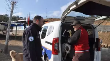 GAZİANTEP'TE 10 GÜNDE 9 PİTBULL, SOKAĞA BIRAKILDI