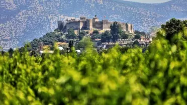 Son dakika haberi! Selçuk'ta doğa dostu verimli tarımsal üretim buluşması