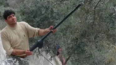 O Türkiye'nin ilk çift kol nakli yapılan ismi! Kendisi 39, kolları 12 yaşında!