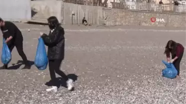 İstanbul'dan Antalya'ya gelen 11 öğrenci Konyaaltı sahilinde çöp topladı