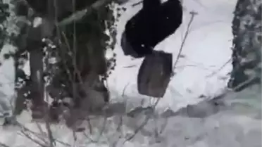 KIZAKLA KAYARKEN AĞACA ÇARPTI; O ANLAR KAMERADA