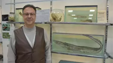 'DENİZ CANLILARI KOLEKSİYON MERKEZİ'NDE TÜRKİYE'DEKİ TEK ÖRNEKLER SERGİLENİYOR