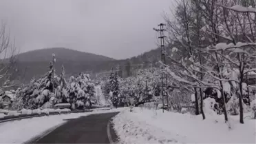 Mahsur kalan hastanın imdadına belediye ekipleri yetişti