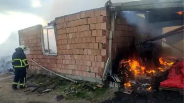 Son dakika: Lüleburgaz'da ağıl yangını; 10 hayvan öldü