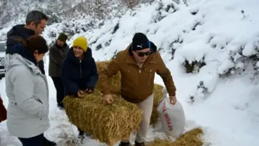 DKMP ekipleri protokol üyeleriyle yaban hayvanlarına yem bıraktı