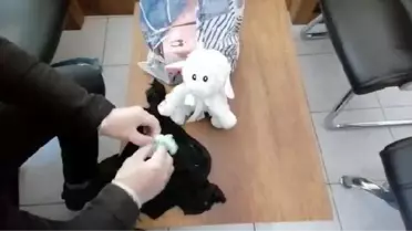 Oyuncak kuzudan uyuşturucu hap çıktı