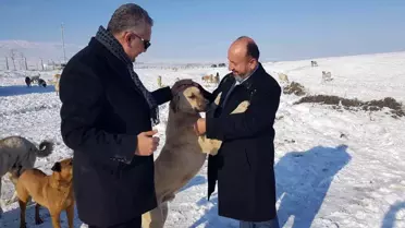 AK Parti'den yaban hayatı için doğaya yem