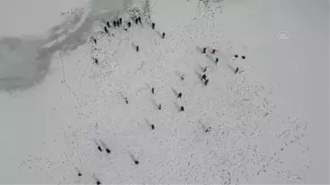 Donan göl gençlerin oyun alanı oldu