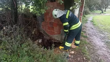 Muğla'da foseptik çukuruna düşen ineği itfaiye çıkardı