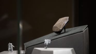 Dünyanın 555,55 karatlık en büyük siyah elması açık arttırmayla satışa sunuldu