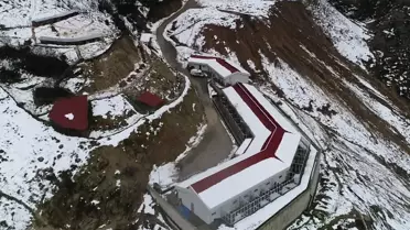 Artvin'deki barınakta sokak hayvanlarının tüm ihtiyaçlarıyla ilgileniliyor