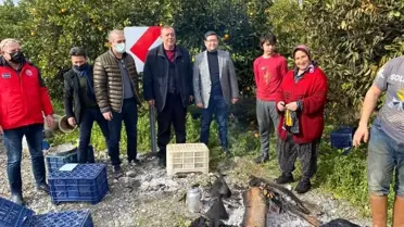 İl Tarım Müdürü Saylak, Köyceğizli üreticiler ile bir araya geldi