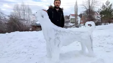 Kardan Kangal ilgi odağı oldu