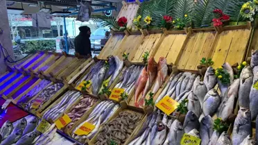 Balığa fırtına vurdu