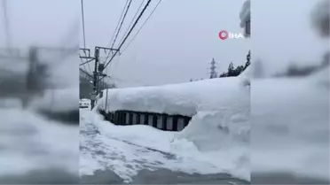 Japonya'da şiddetli kar hayatı olumsuz etkiledi209 uçuş, 67 tren seferi iptal edildi