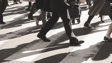 Kanada'da 150 milyon yıllık dinazor fosilinde grip ve boğaz ağrısı semptomları bulundu