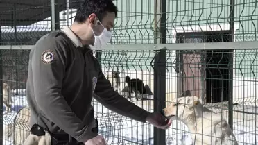 Ortaokul öğrencilerinin geliri barınaktaki hayvanlara mama oldu