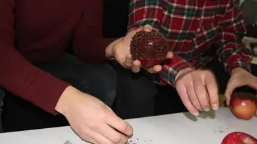 Aşkın ve barışın sembolü 'Karanfil Bezeli Elma'
