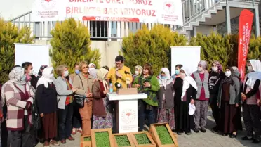 360 bin adaçayı ve kekik fidesi dağıtıldı