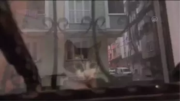 Son dakika... Sahibinin öldüğü evde bakımsızlığa rağmen hayatta kalan kedinin adı 'Mucize' oldu