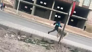 7 kişiyi ısıran köpek kuduz çıkınca mahalle karantinaya alındı