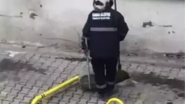 Omzuna çıkan kediyle sokakları süpürdü