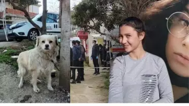 Sıla'nın acısını o da yaşıyor! Köpeği Balım, cinayetten sonra evin önünden ayrılmıyor!