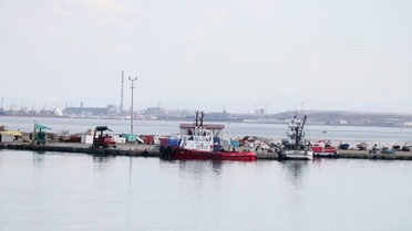 Karadenizli balıkçıların hamsiden sonra umudu 'çaça' balığında