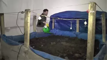 Dedesine ait iki katlı evde solucan gübresi üretiyor