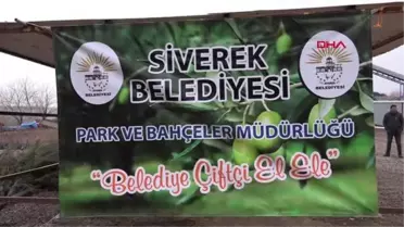 SİVEREK BELEDİYESİ ÇİFTÇİLERE 25 BİN ADET FİDANI DAĞITTI