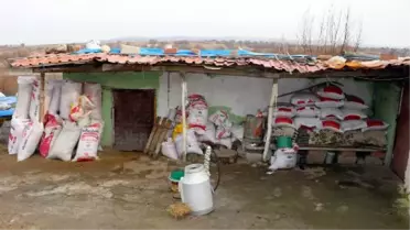 Çifte cinayette gizli tanık: Kadının annesi 'cesetleri ormanda bırakmasaydınız' dedi