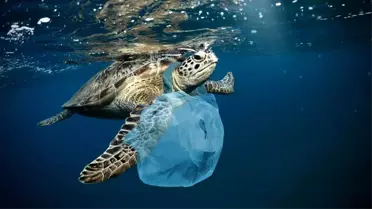 'Plastik krizinin' çözümü için umut doğdu: BM üyeleri uluslararası anlaşma için müzakerelere başlayacak