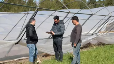 Serik'te hortum ve sağanaktan etkilenen seralarda hasar tespiti yapılıyor