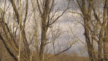 Heyetler Rusya ile Ukrayna arasındaki müzakerelerin üçüncü turu için Belarus'ta