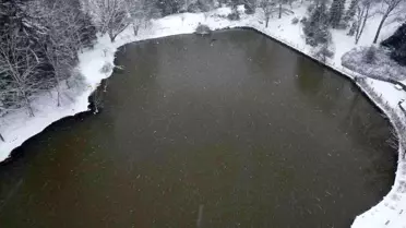 Atatürk Arboretumu'nda kartpostallık kar manzaraları